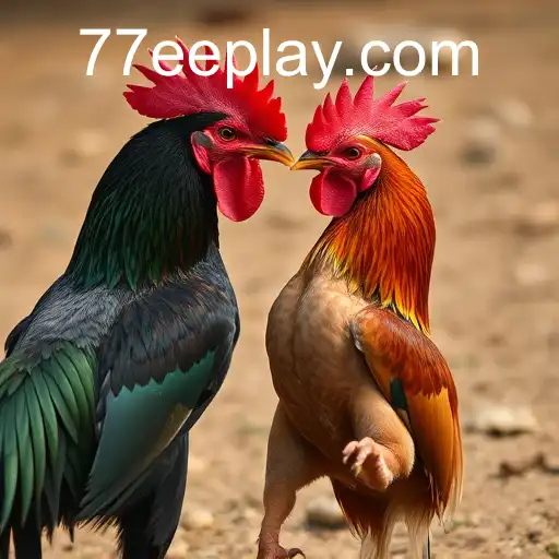 VIP Service 77EE - 24/7 Support and Exclusive Benefits